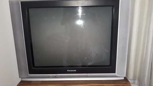 Imagem 11 de 11 de Tv Panasonic 29 Polegadas Tela Plana Não Envio
