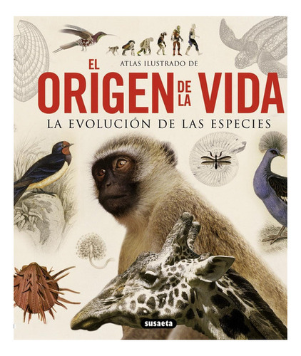 Atlas Ilustrado De El Origen De La Vida La Evolucion De Las