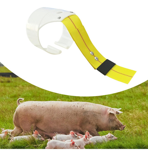 Cubierta De Inseminación De Cerdo Para Cerdas, Equipos De