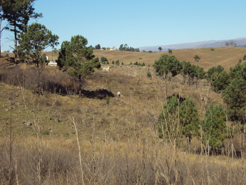 Imagen 6 de 8 de Terrenos Y Lotes, Villa Yacanto De Calamuchita, Córdoba.-