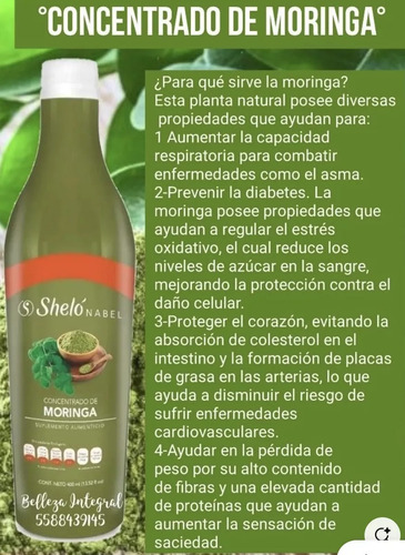 Concentrado De Moringa Shelo Nabel