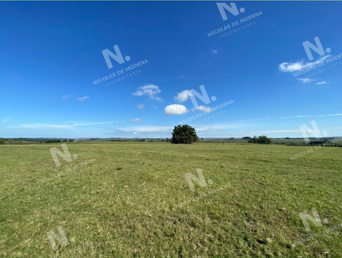 Imagen 9 de 15 de Venta Campo En Maldonado - Maldonado