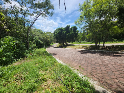 Venta De Lote San Diego 53 Mz Xvi Muy Cerca Del Acceso Y Sobre Av Principal Con Bonita Vista En Fracc Rancho San Diego Ixtapan De La Sal Edomex