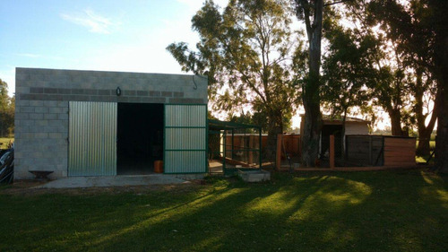 Imagen 13 de 21 de Excelente Casa Quinta 1 Has. 1100 Mts De Rp Nº 29. General Paz. Ranchos. Bs.as