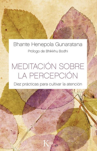 Meditacion Sobre La Percepcion. 10 Pract P Cultivar L Atenci