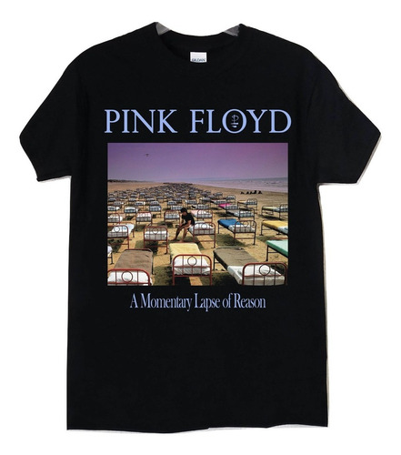 Pink Floyd A Momentary Lapse Of Re  Rock Clasico Abominatron