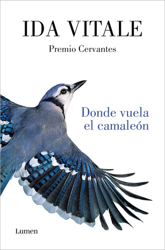 Libro: Donde Vuela El Camaleón Where The Chameleon Flies (sp