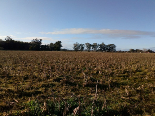 Imagen 6 de 29 de Chacra En Madariaga