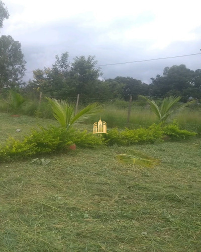Imagem 11 de 18 de Sitio Em Esmeraldas - St00078 - 68311105