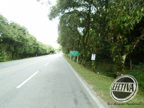 Imagem 2 de 5 de Terrenos 600m² Prainha - Guaratuba - 553t