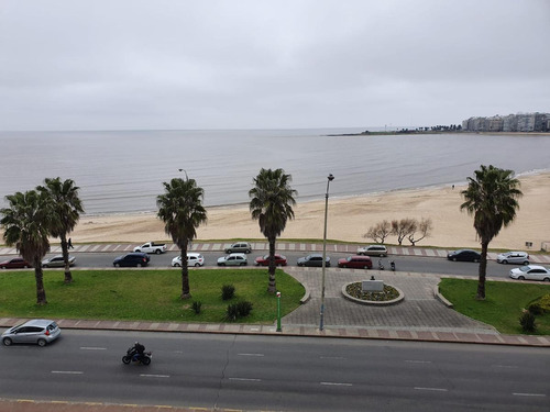 Imagen 2 de 23 de Apartamento Equipado , Rambla , Reciclado Con La Mejor Vista, 130 M2 , Piscina !!