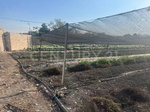 En Venta Terrenos En Itzamatitlán, A 10 Min. De Caseta De Oacalco, Morelos