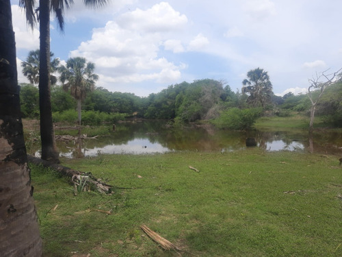 Finca Mixta Ganadera Agrícola 2178 Tas En Guayubin