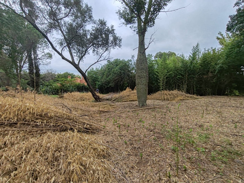 Venta Lote Terreno 1500 M² Ideal Housing - Villa Rivera Indarte