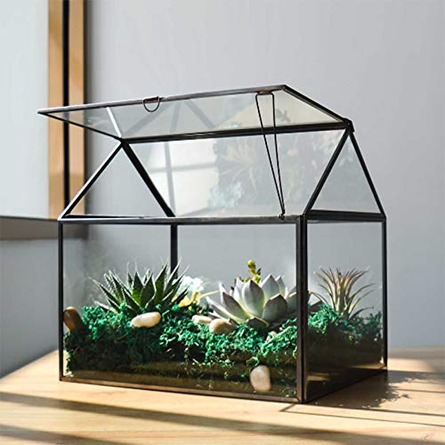 Gran Terrario De Vidrio Plantas - Terrario De Cristal P...