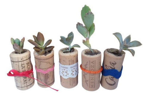 Pack 10 Minimacetas De Corcho - Cactus/suculentas- Souvenirs