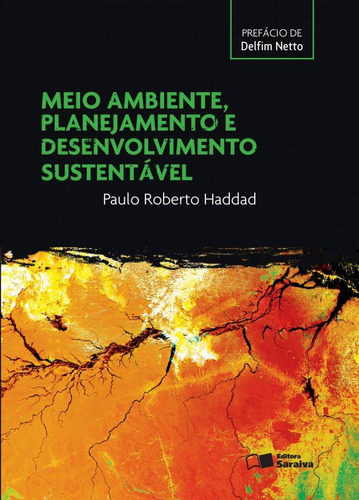 Meio ambiente, planejamento e desenvolvimento sustentável, de Haddad, Paulo Roberto. Editora Saraiva Educação S. A., capa mole em português, 2015