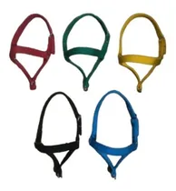 Comprar Kit 10 Cabresto Para Bode Bode Ovinos Caprinos Reforçada 