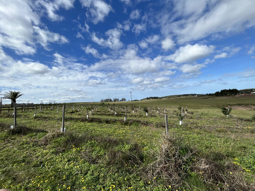 Quinta En Venta  En Narbona La Plantación (ref: Bpv-9137)