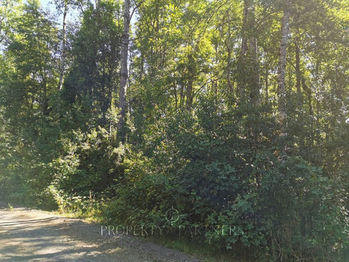 Hermosa Parcela A 4 Km De Pucón