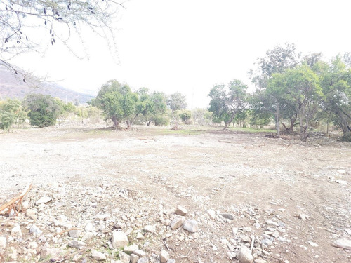 Parcela En Venta En Olmué