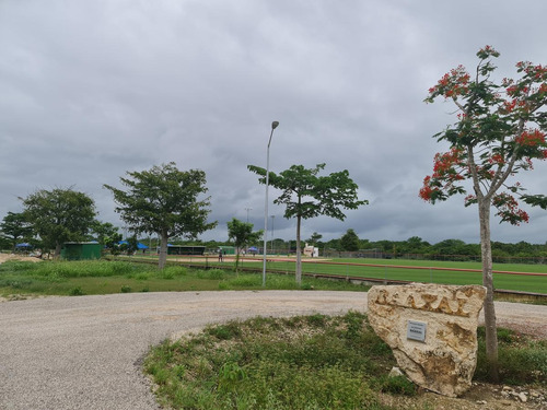 Imagen 2 de 4 de Terreno En Venta Carretera Mérida-progreso