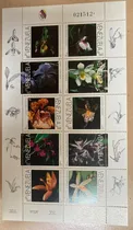 Comprar Estampillas Venezuela 1997 - Orquídeas Venezolanas