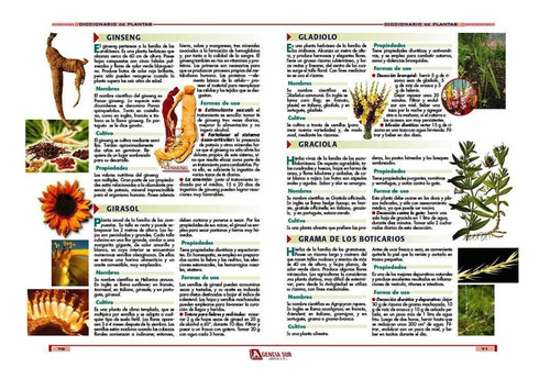 Las Hierbas Aromáticas, Saborizantes Y Saludables
