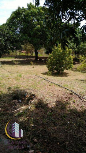 Imagem 18 de 25 de Chácara 4.200 M² 3 Dormitórios Com Suíte, Churrasqueira, Campo De Futebol, Pomar, Casa De Caseiro - Olho D'água - Mairinque/sp - Ch0032