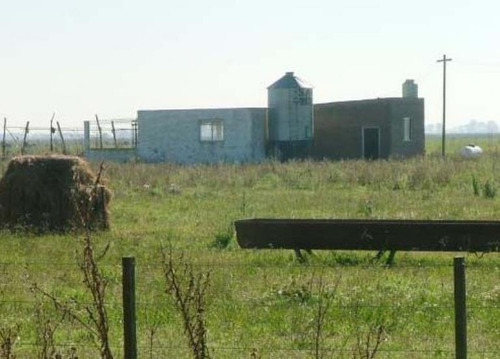 Campo Tambero De 147 Has, San Vicente A 3km De Ruta 6