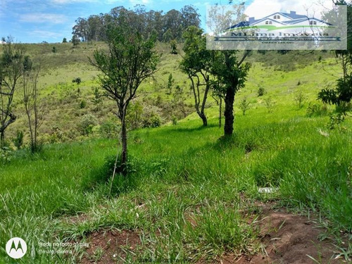 Imagem 7 de 10 de Chácaras À Venda Em Mairiporã/sp - Compre O Seu Chácaras Aqui! - 1478824