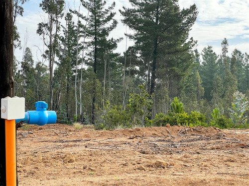 Proyecto Terrenos De 5.000 M2 En Venta - Matanzas