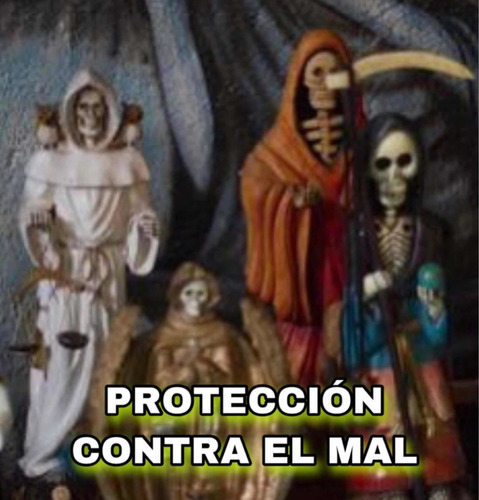 Lectura De Caracoles Y Tarot