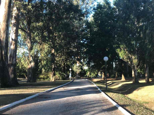 Imagen 3 de 8 de Lote En Venta En La Candida