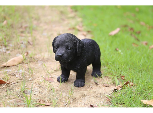 Hi-line Gift Ltd Estatua De Cachorro Labrador Negro De Pie