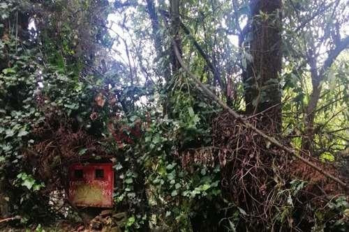 Imagen 11 de 25 de Terreno De 4,418 Metros En Venta En El Desierto De Los Leones