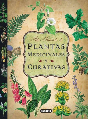 Atlas Ilustrado De Plantas Medicinales Y Curativas - Susaeta