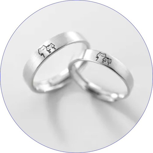 Aros Anillos Gato Plata 950 Para Pareja