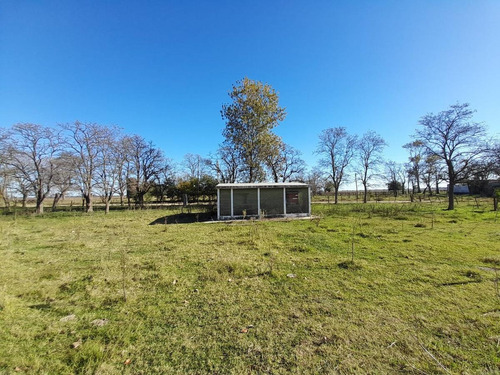 Imagen 5 de 24 de Venta Chacra 6 Ambientes Cañuelas