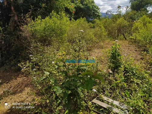 Imagem 27 de 30 de Casa Com 2 Dormitórios À Venda, 167 M² - Tijuca - Teresópolis/rj - Ca1287