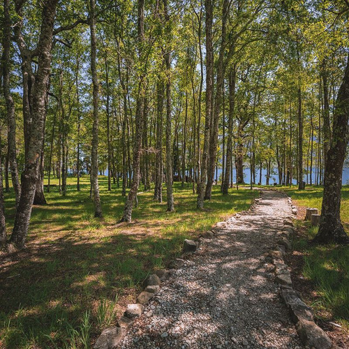 Sitio En Venta En Cunco Lago Colico