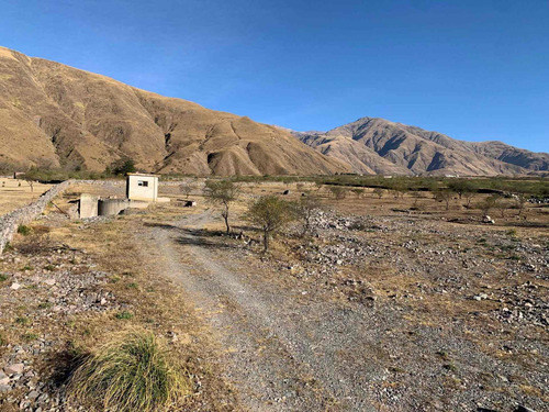 Imagen 7 de 14 de Venta 1hectareas 5907,75m2 Barcena Sobre Ruta