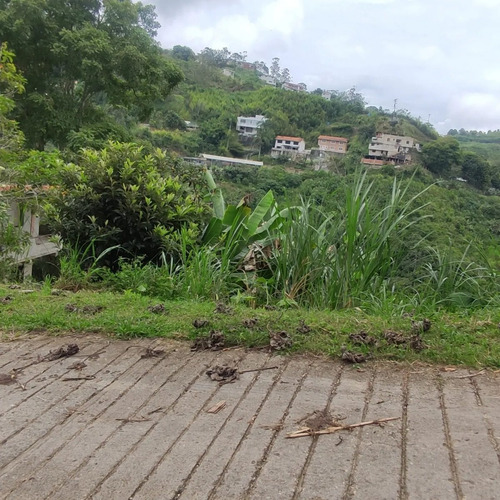 Imagen 4 de 10 de San Antonio De Los Altos