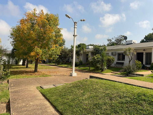 Alquiler Casa Ph 2 Dorm Complejo San Jose Carrasco