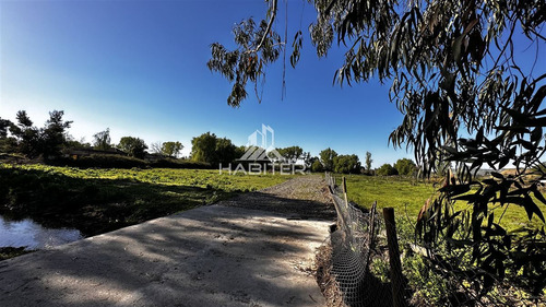 Oportunidad! Parcela Plana En Venta En Zapallar Curicó Km 4
