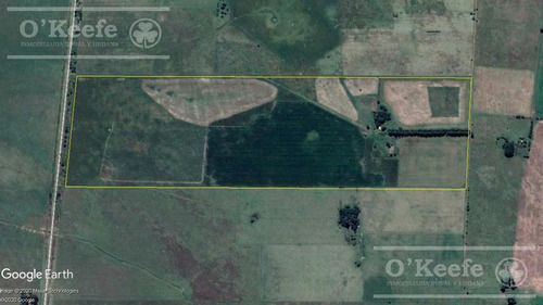 Imagen 21 de 25 de Campo Mixto De 75 Has - Buen Acceso A 3 Km De Ruta 215 - A 1 Hs De Caba