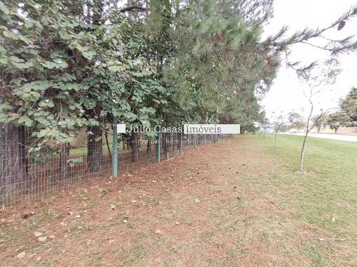 Imagem 3 de 15 de Terreno Comercial - Alem Ponte - Ref: 30742 - V-30742