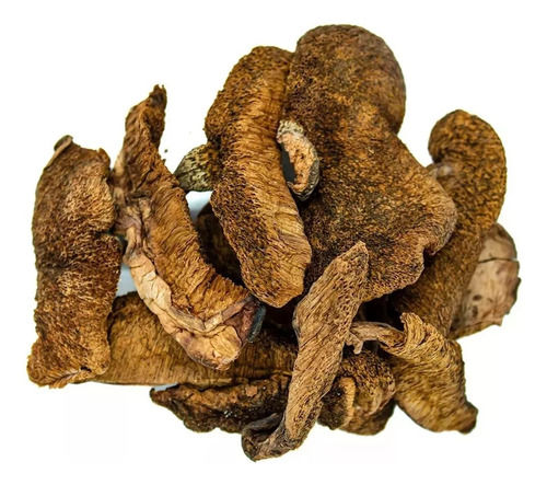 Hongos De Pino X500gr