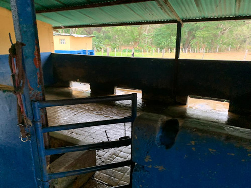 Vendo Hermosa Hacienda Ubicada En San Felipe Edo. Yaracuy Yb