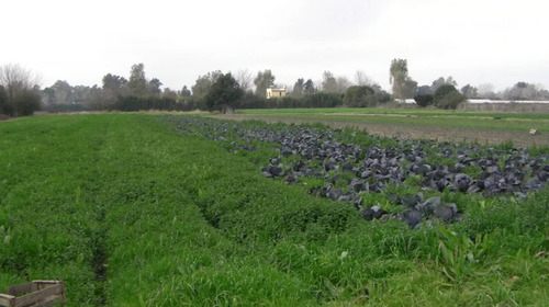 Imagen 10 de 11 de Terreno Campo En Venta Ubicado En Pilar, G.b.a. Zona Norte